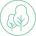 Symbol drzewa – inspiracja naturą w produktach DEQS